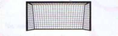 a. a big goal with a net